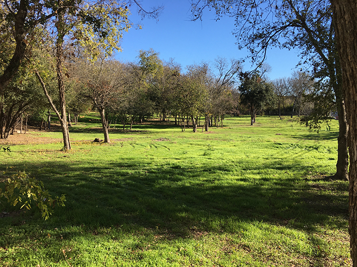 "A view of the north section of Oak Springs. "