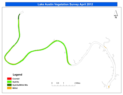 Lake Austin vegetation survey April 2012