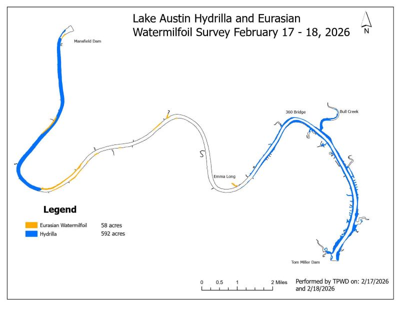 The vegetation survey identified 592 acres of hydrilla and 58 acres of Eurasian watermilfoil on Lake Austin on Feb. 17 and 18. Survey was conducted by Texas Parks and Wildlife.