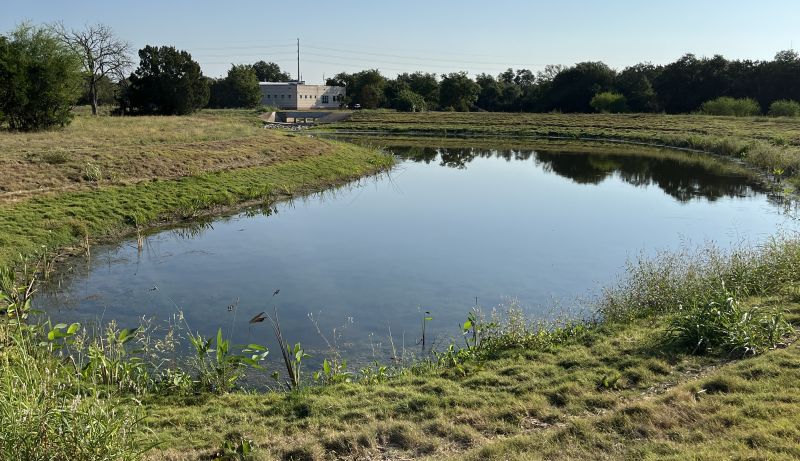 Photo of Beckett Meadows Pond at the Hampton Branch Library