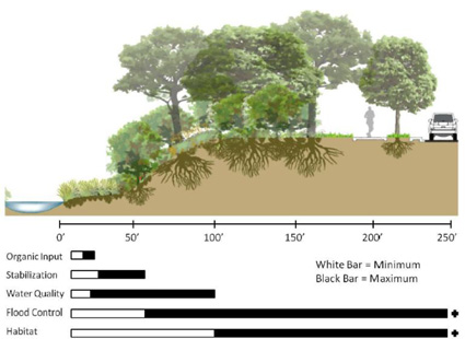 This image shows the various buffer widths associated with riparian zone function. 