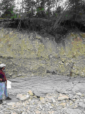 Composite Channel Bank in Shoal Creek