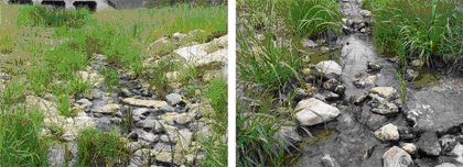 Channel Bed Armering