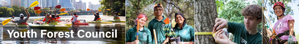 Collage of forest council kids