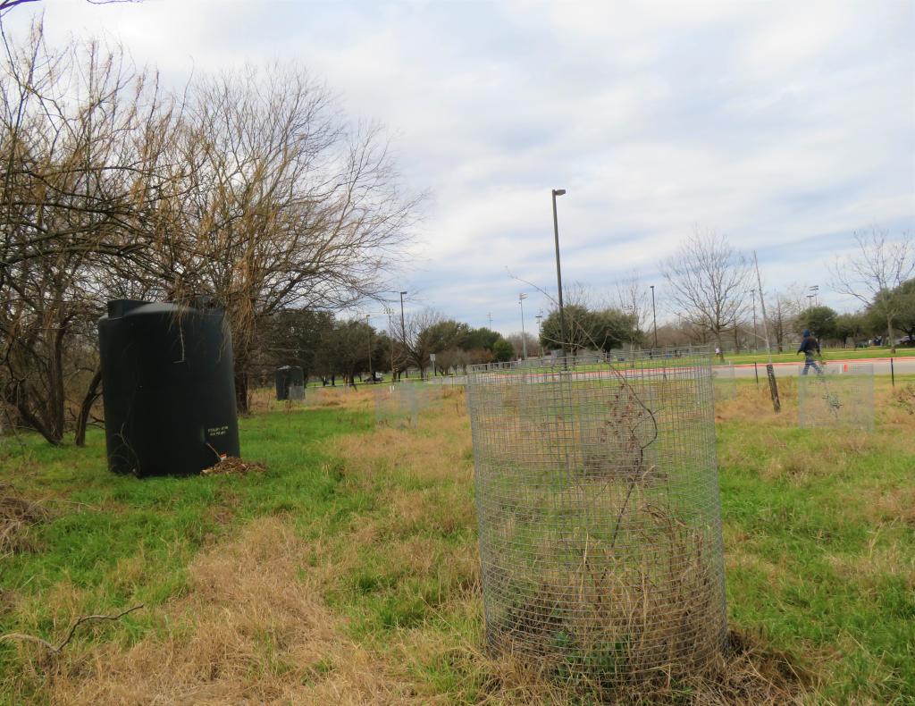 A water storage tank next to newly planted trees in Guerrero Park