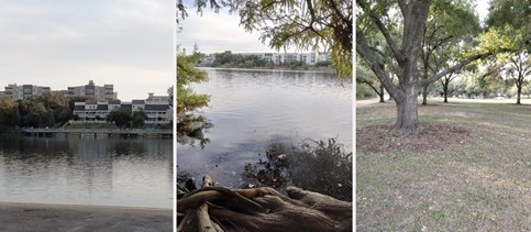 Photos showing sunny water, shaded shoreline, and shaded parkland under a tree in Austin, Texas