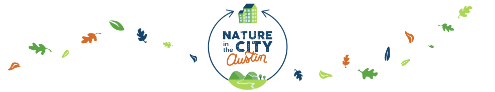 Nature in the city logo