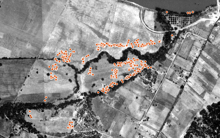 1940s aerial image of Circle Acres and Guerrero Park overlaid with new trees planted by Ecology Action