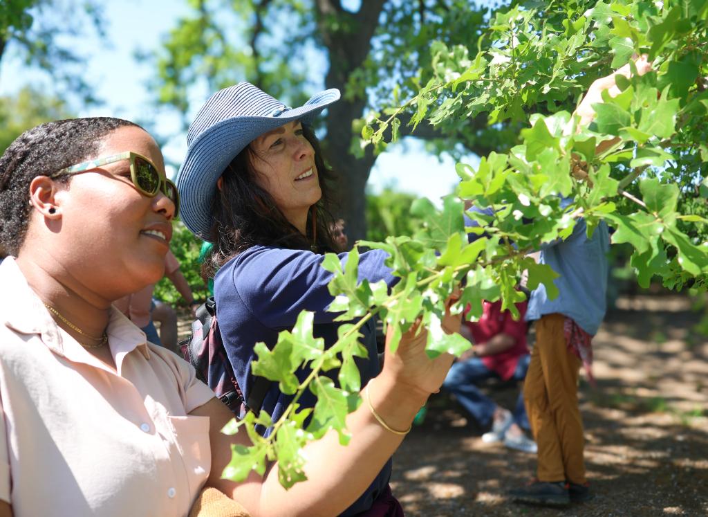 Two women outdoors inspecting a post oak tree.