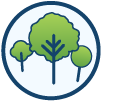 trees on public land