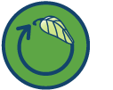 sustainability