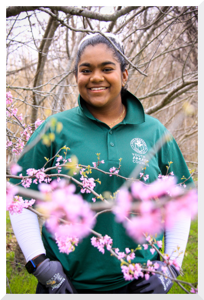 Sujana among the branches of a flowering Texas redbud tree