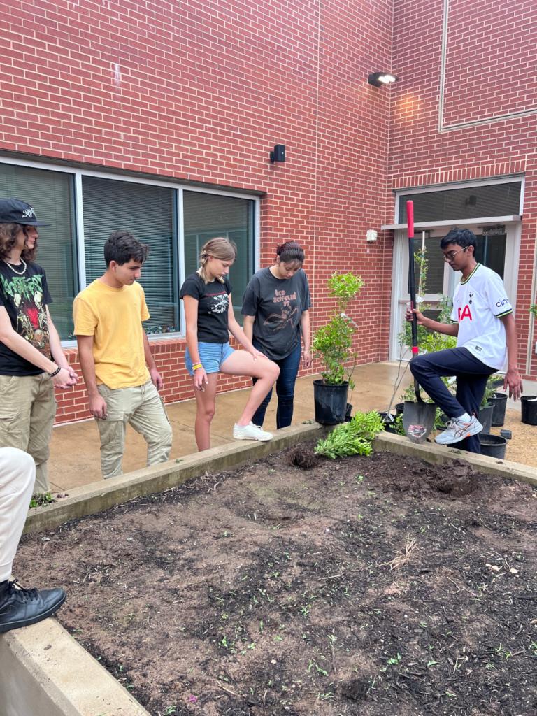 Anish and four other students prepare to plant a texas mountain laurel tree at McNeil High School