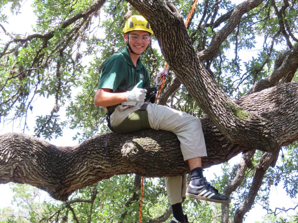 Youth Forest Council Intern Carlos Aldrete