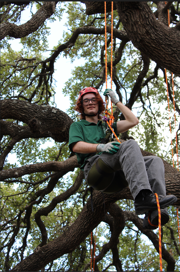 Youth Forest Council Intern Elias Frank
