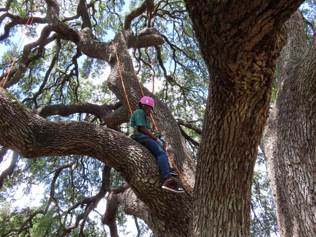 Jalina Adams climbing a tree with the Youth Forest Council.