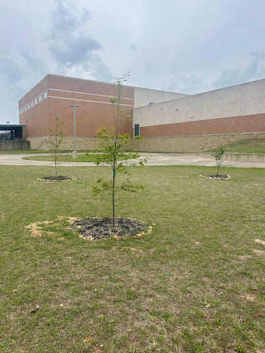 Vandergrift High School site after planting three new trees.