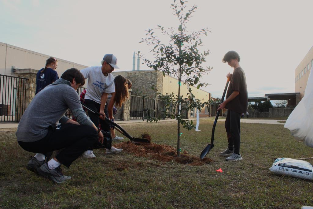 Volunteers planting a tree at Vandergrift High School.