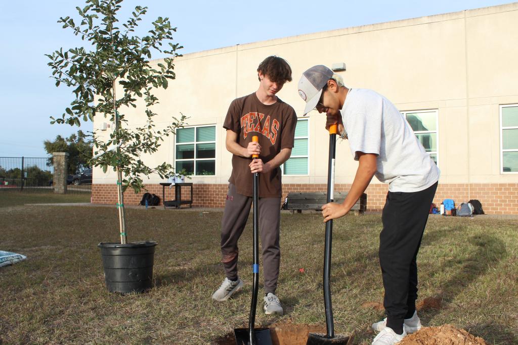 Two students digging a hole next to a tree they are about to plant at Vandergrift High School.