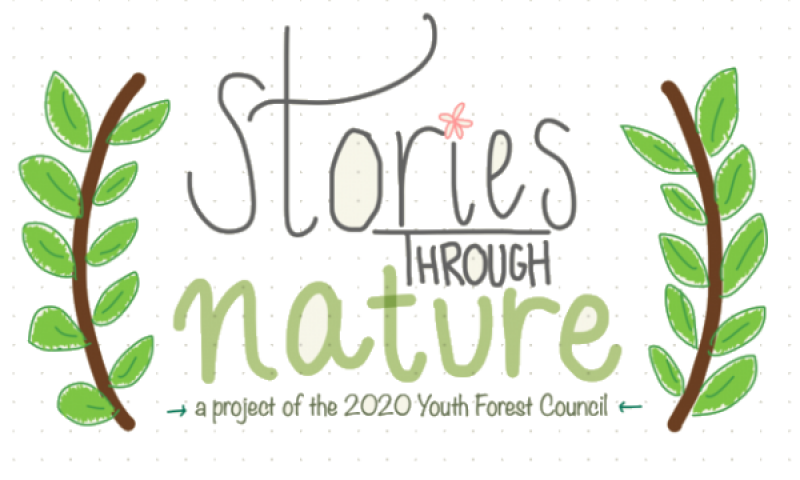 Banner that says "Stories Through Nature: a project of the 2020 Youth Forest Council". The words are hand written and playful. The text is surrounded by illustrations of leaves.