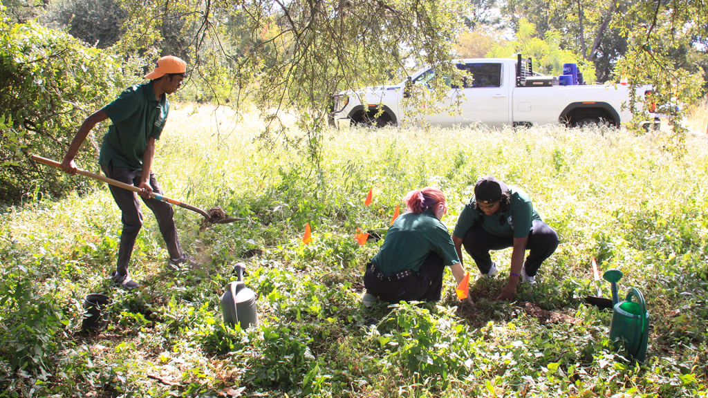 Photo: Youth Forest Council members participated in an outdoor activity.