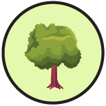 tree icon