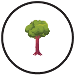 tree icon