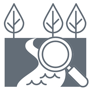 environmental inspections