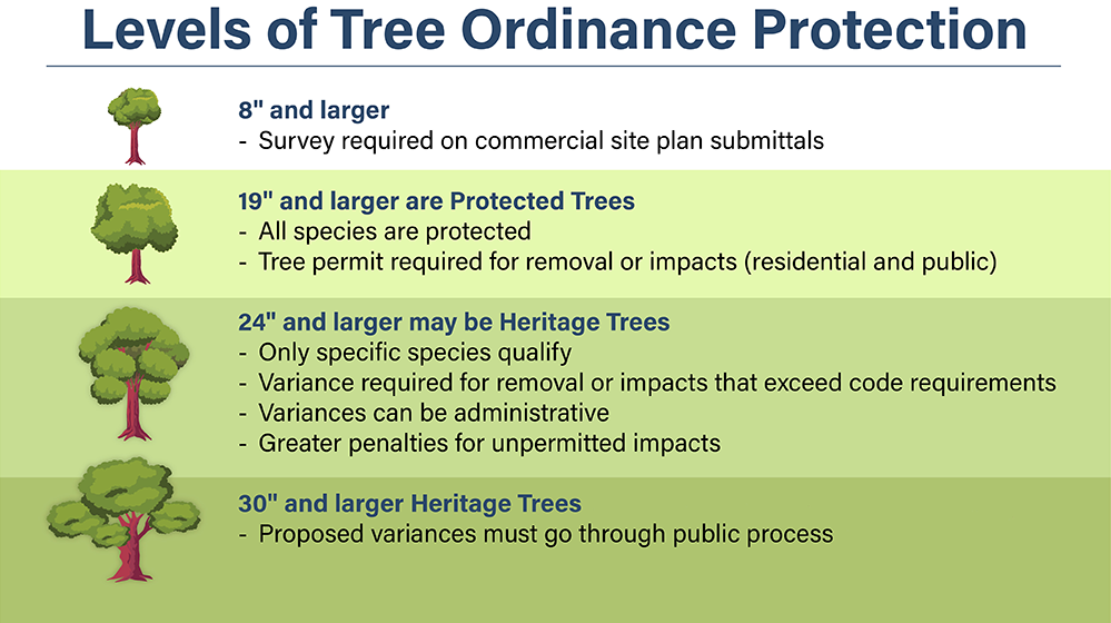 Levels of Tree Ordinance Protection Graphic