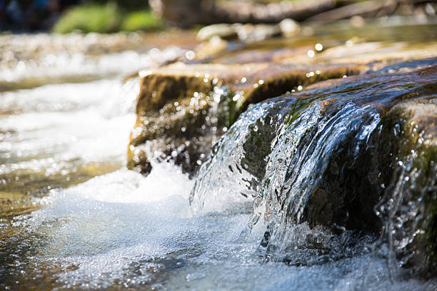 Bioswales used to manage stormwater runoff and create beneficial green infrastructure