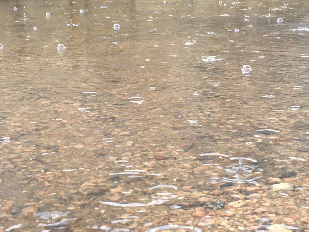 photo of large puddle with rain drops falling