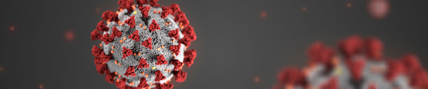 Model of Coronavirus