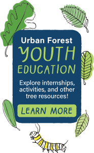 A blue box reads, "Urban Forest Youth Education. Explore internships, activities, and other tree resources." A button below says, "Learn more." Illustrations of leaves surround the image.