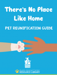 cover image of reunification guide