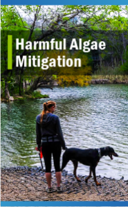 Harmful Algae Mitigation