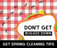 ants walking next to a sandwich on a red picnic blanket with text that says Don't get bugged down, get spring cleaning tips