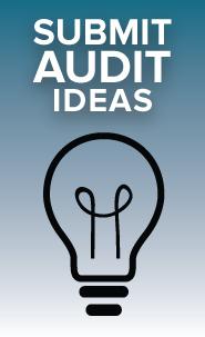 Submit audit ideas