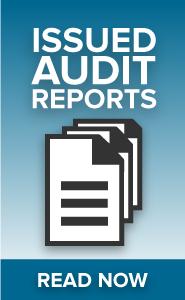 Auditor Issued Reports