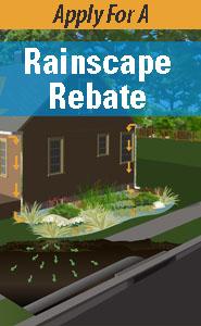 Rainscape Rebate