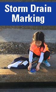 Storm Drain Marking