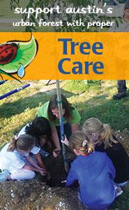 tree care