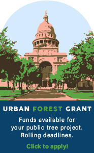 Urban Forest grant