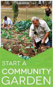 community garden