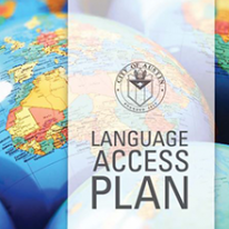 Language Access Plan Graphic