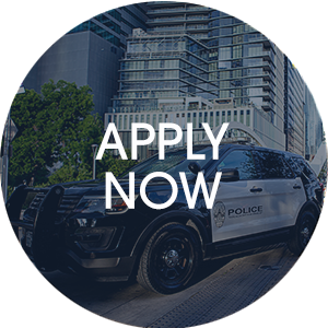 Apply Now Button