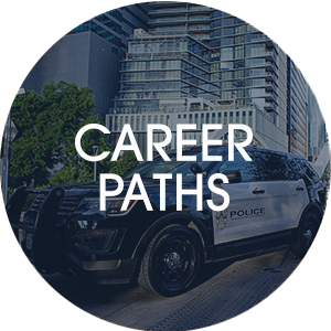 Career paths button