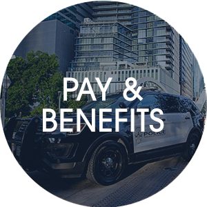 Pay & benefits button