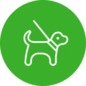 Adopt ICON