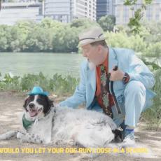 video still
