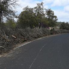 Large piles of tree limbs and branches line both sides of a street in Austin, TX following the 2023 winter storm.